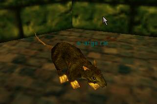 A beady eyed Everquest rat.